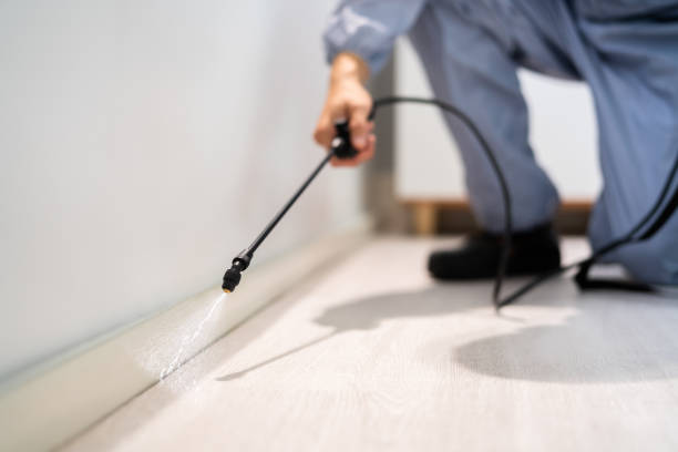 Bed Bug Pre-Treatment Preparation Assessment in Twin Lakes