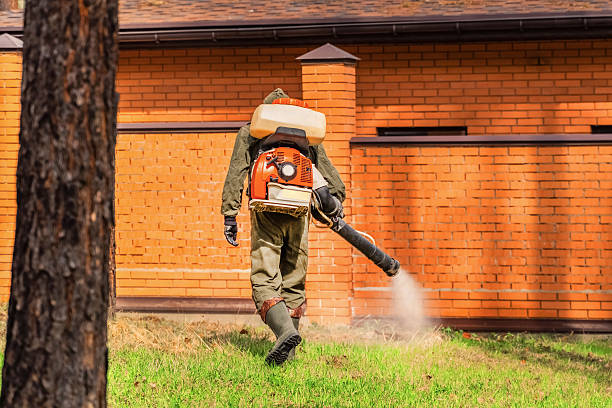 Bed Bug Clearance Verification and Documentation in Twin Lakes
